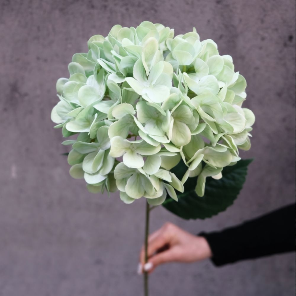 Decoratieve zijden hortensia b - Home Office Backdrop recensie en prijs