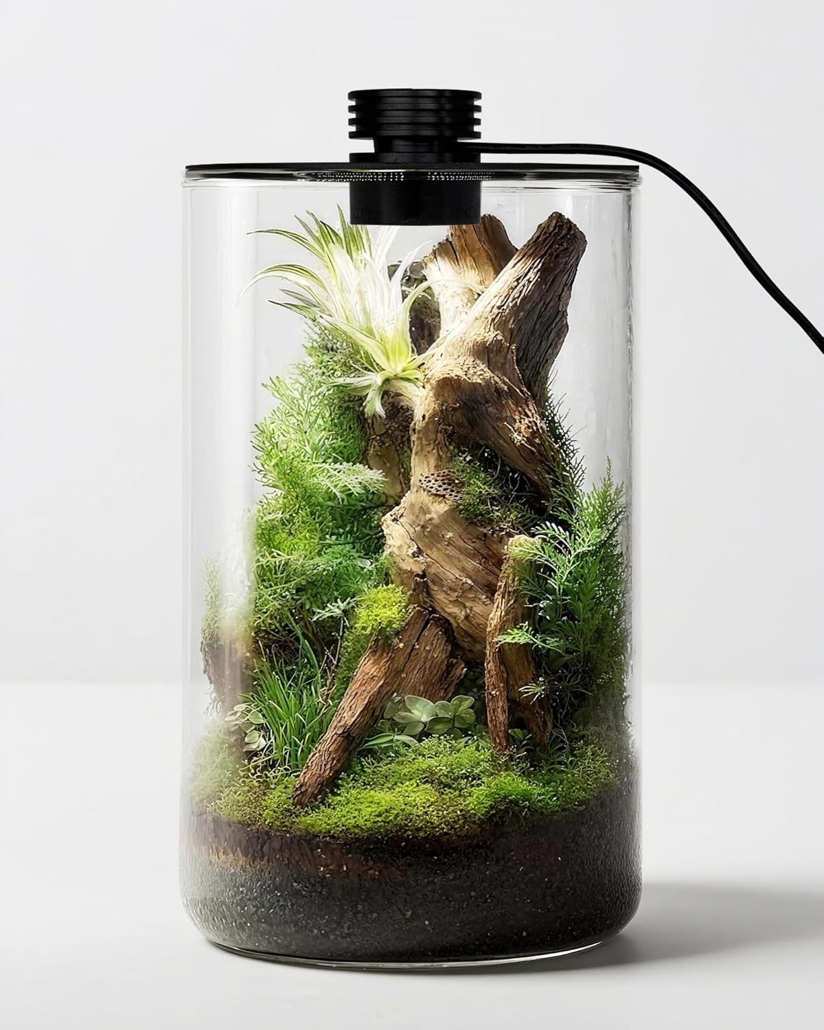 Glazen terrarium voor binnen m - Home Office Lamp recensie en prijs