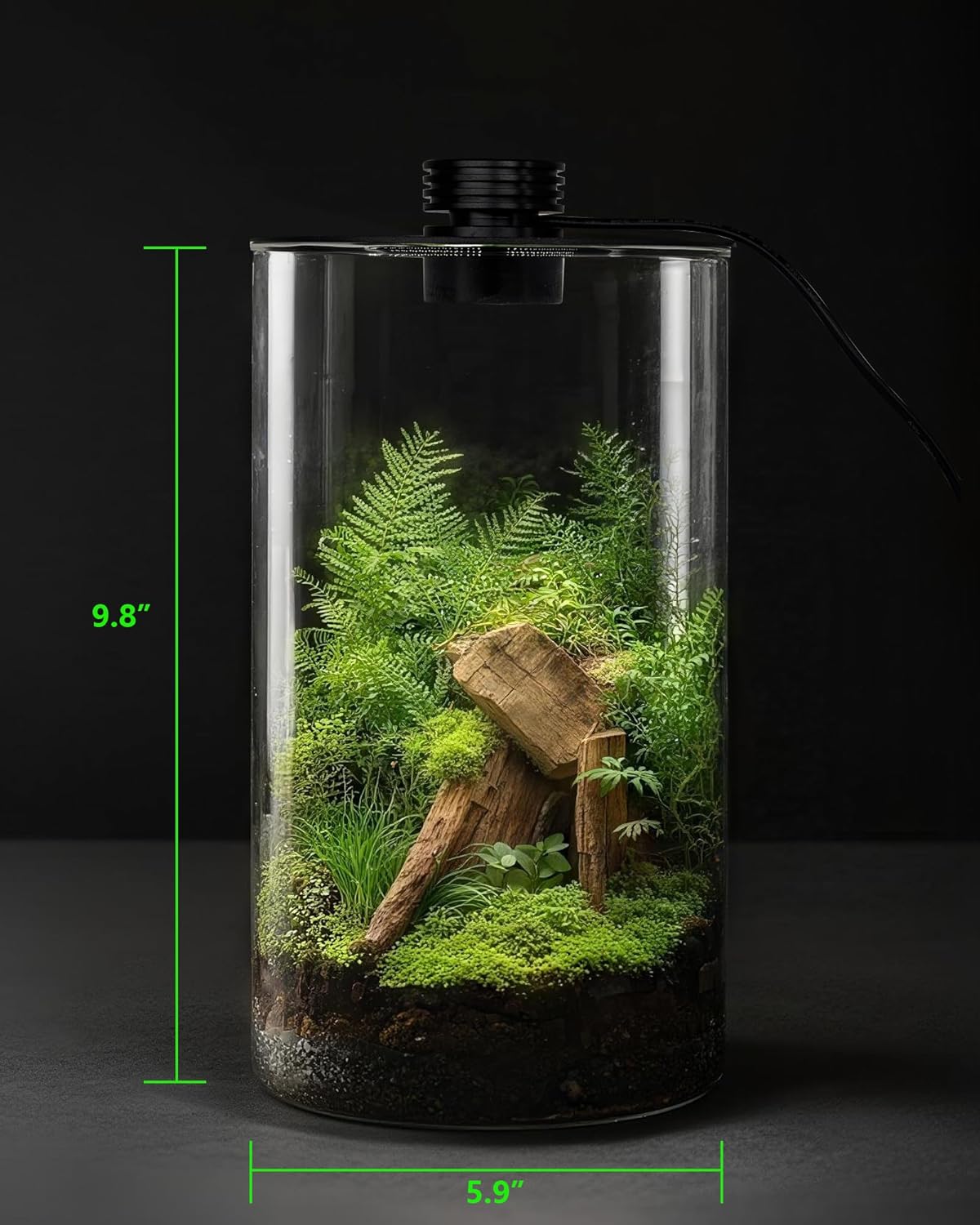 Glazen terrarium voor binnen m - Home Office Lamp recensie en prijs