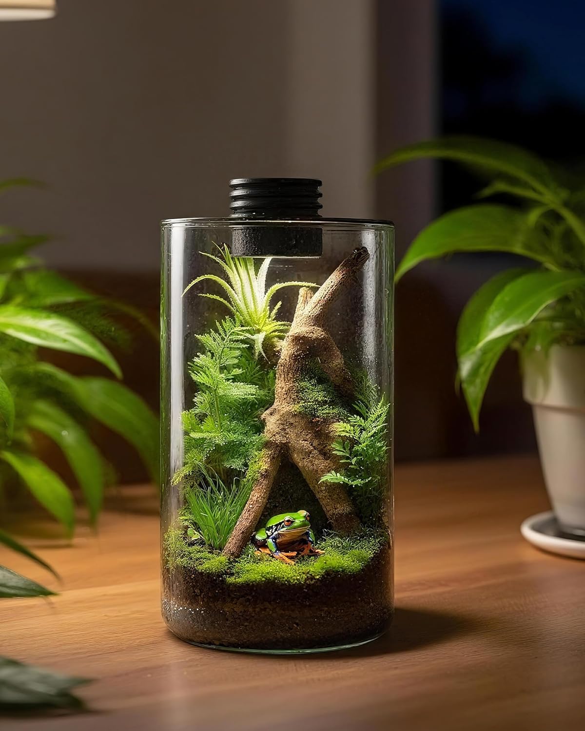 Glazen terrarium voor binnen m - Home Office Lamp recensie en prijs