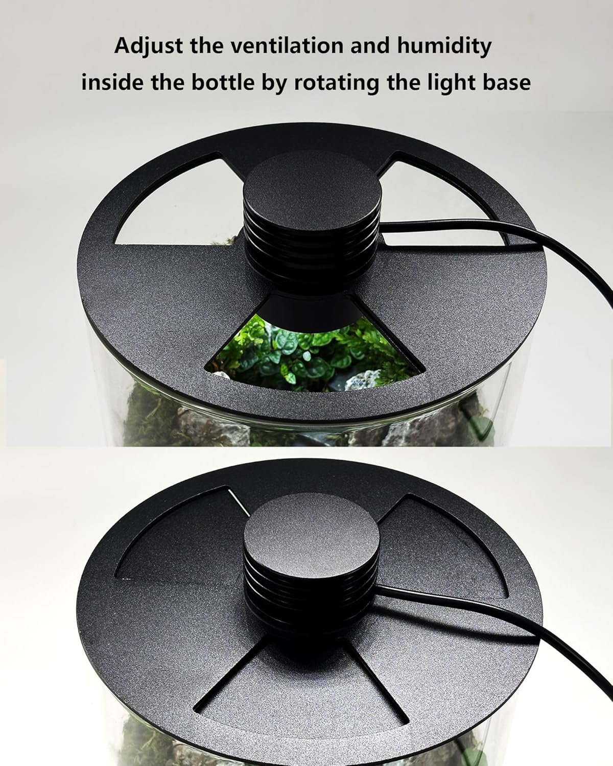 Glazen terrarium voor binnen m - Home Office Lamp recensie en prijs